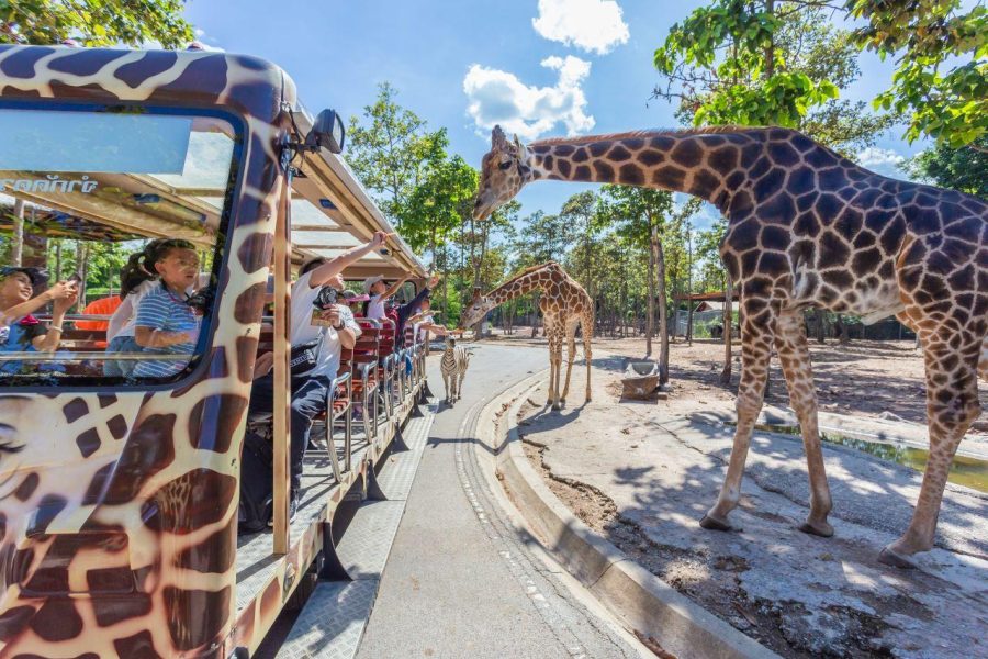 Chiang Mai Night Safari