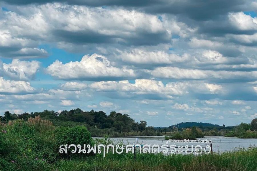 ทัวร์พิพิธภัณฑ์สัตว์น้ำระยองและหาดสวนสนหนึ่งวัน (เดินทางจากพัทยา)