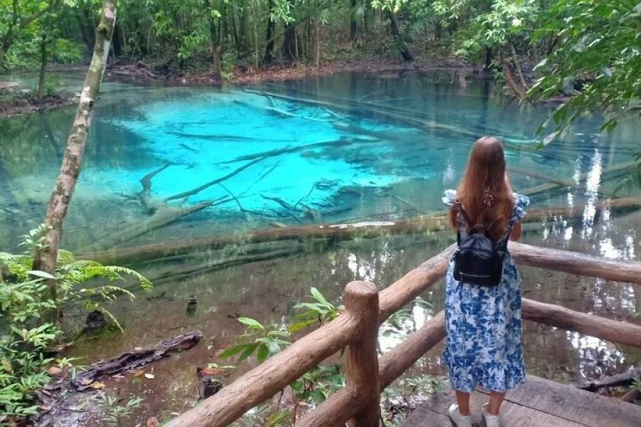 Discover Krabi – Emerald Pool, Hot Springs & Tiger Cave Temple