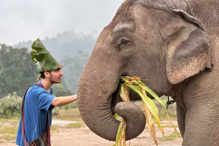 Chiang Mai Living Green Elephant Experience | Thailand